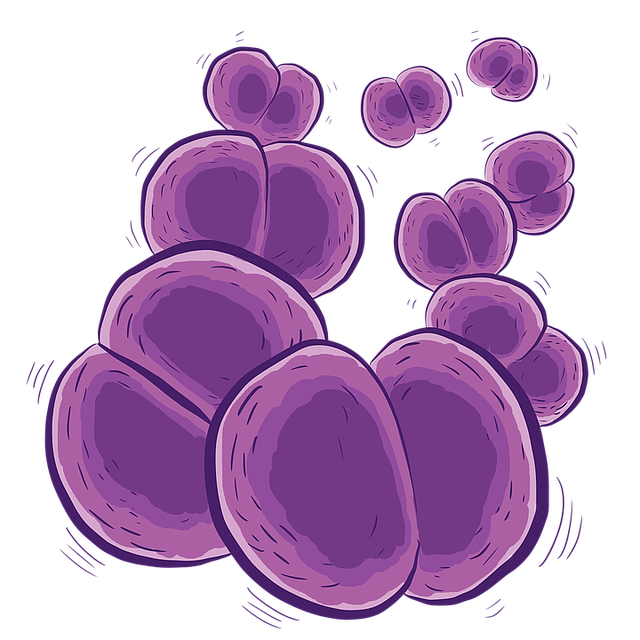 bactéries, source https://pixabay.com