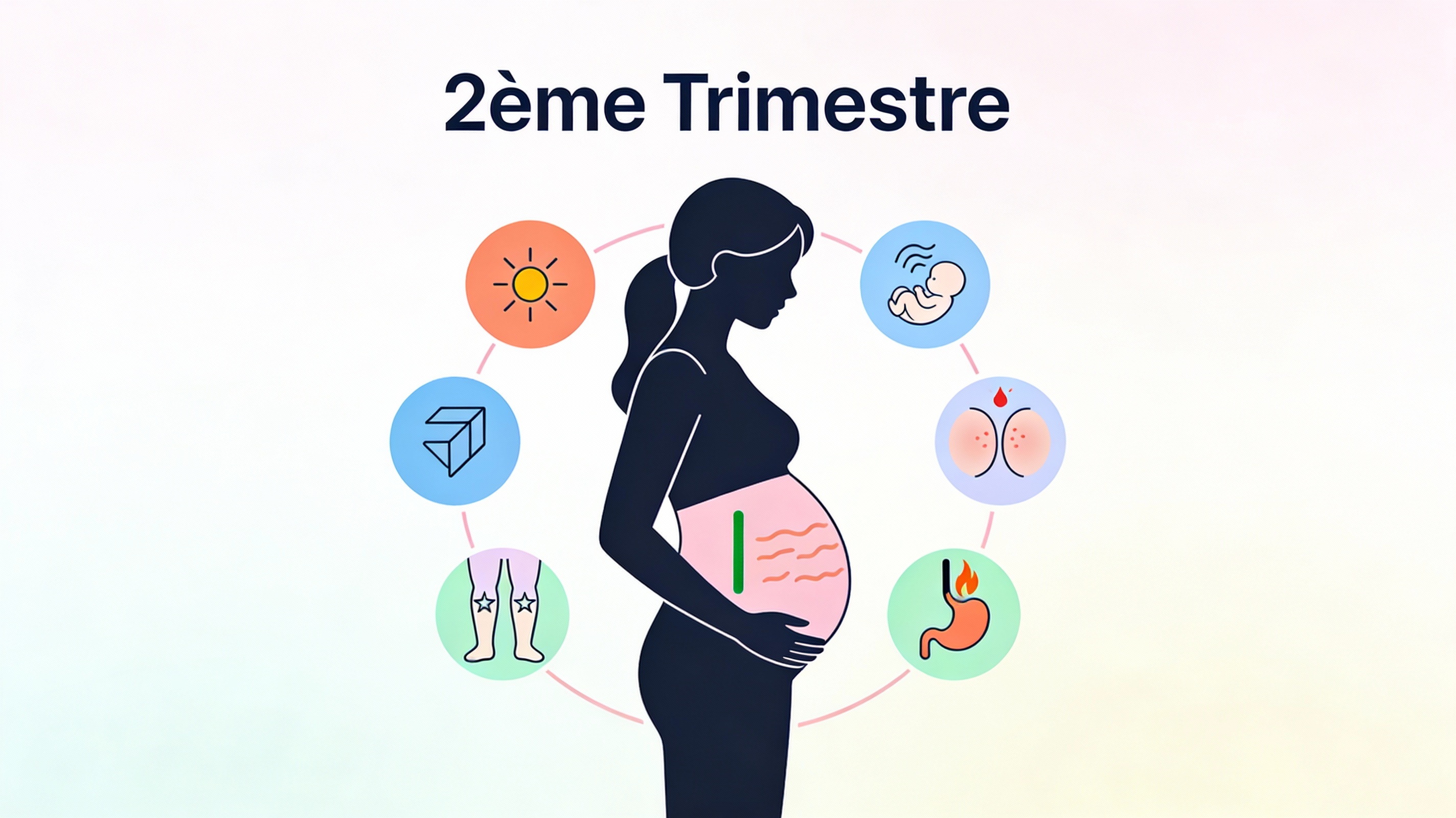 Illustration des principaux symptômes et changements du deuxième trimestre de grossesse