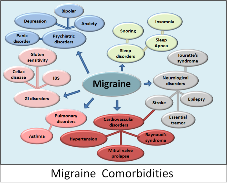 migraine, source https://commons.wikimedia.org/wiki/File:Migraine_Comorbidities.PNG